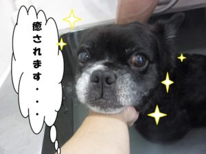 スパ中ミックス