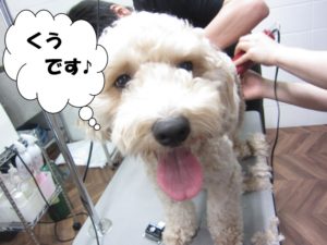 カット前ミックス