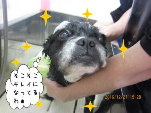 シャンプー中ミックス