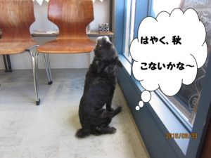 施術後ミックス