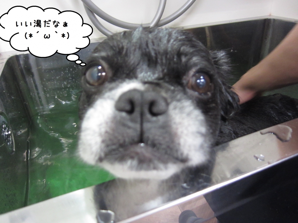 スパに入るミックス