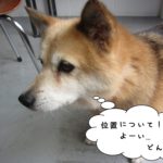 スタートミックス