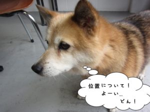 スタートミックス