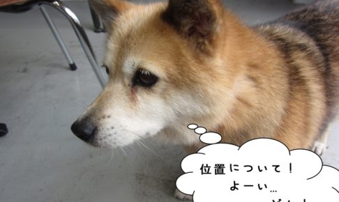 スタートミックス