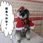 サンタさんMシュナ