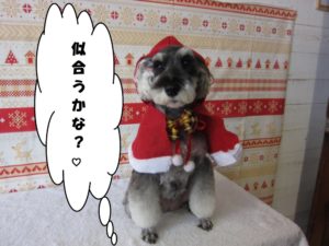 サンタさんMシュナ