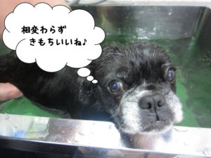 スパ中ミックス