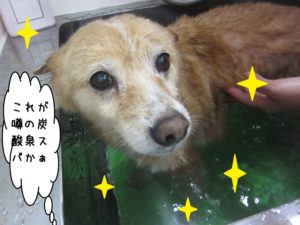 スパ中ミックス