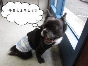 施術後ミックス