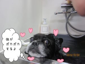 スパ中ミックス