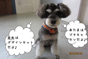 モヒカンMシュナ