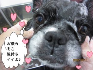 シャンプー中ミックス