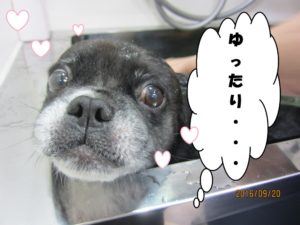 スパ中ミックス