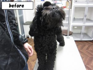 カット前ミックス