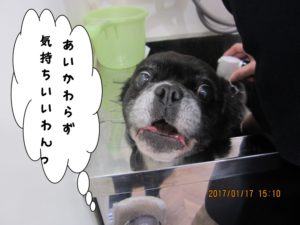 スパ中ミックス