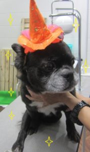 施術前ミックス