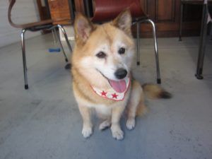 施術後ミックス