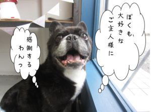 施術後ミックス