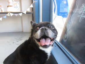 施術後ミックス