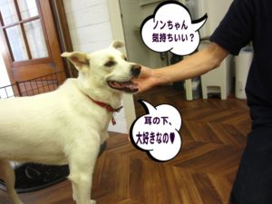 施術後ミックス