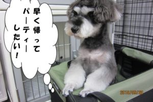 飛び出るMシュナ