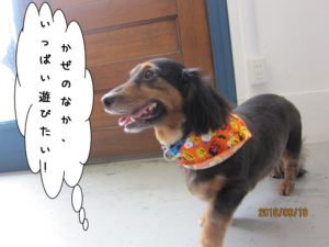 施術後カニンヘンダックス