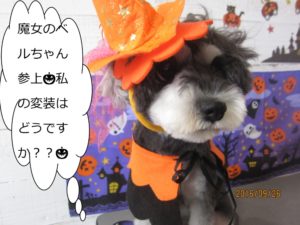 ハロウィンMシュナ