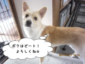 施術後ミックス