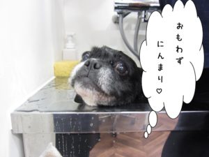 スパ中ミックス