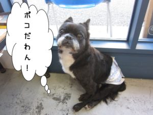 施術後ミックス