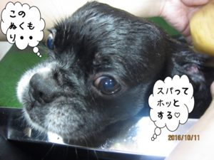 スパ中ミックス