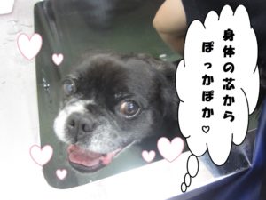 スパ中ミックス