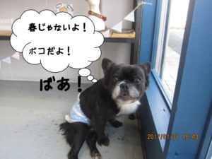 施術後ミックス