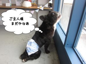 施術後ミックス