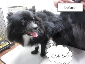 カット前ミックス