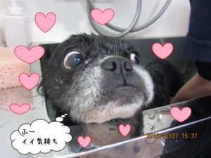 スパ中ミックス