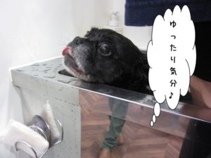 スパ中ミックス