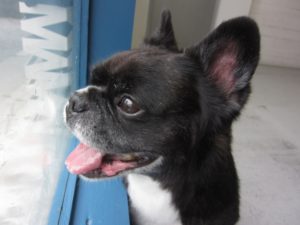 施術後ミックス