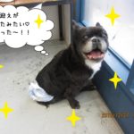 笑顔窓際ミックス