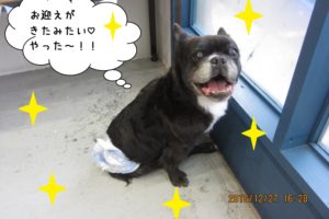 笑顔窓際ミックス