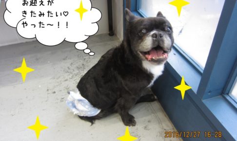 笑顔窓際ミックス