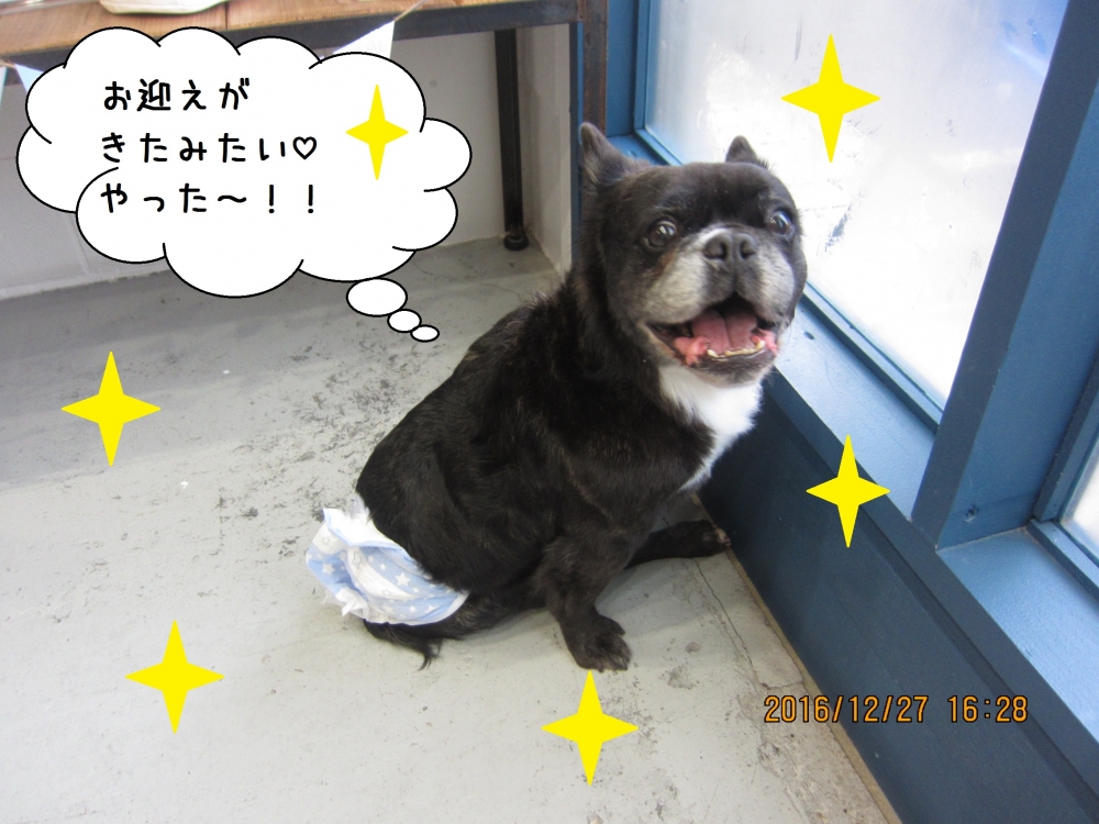 笑顔窓際ミックス