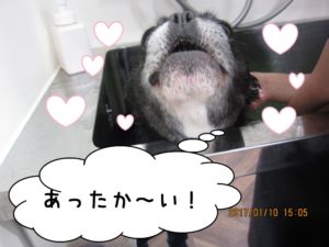 スパ中ミックス