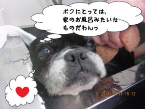 スパ中ミックス