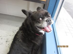 施術後ミックス