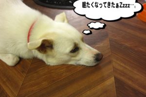 ゴローンミックス