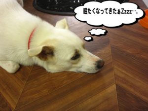 ゴローンミックス