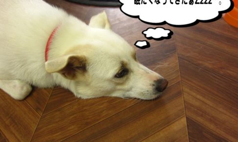 ゴローンミックス