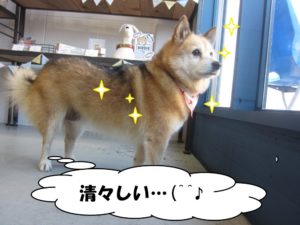 施術後ミックス