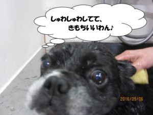 スパ中ミックス